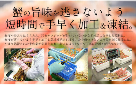 カット済ズワイ蟹ハーフポーション 1kg 【3?4Lサイズ厳選】 [053-b013]