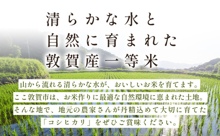 コシヒカリ 10kg [101-a201]