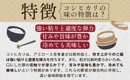 コシヒカリ 10kg [101-a201]