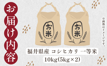 コシヒカリ 10kg [101-a201]