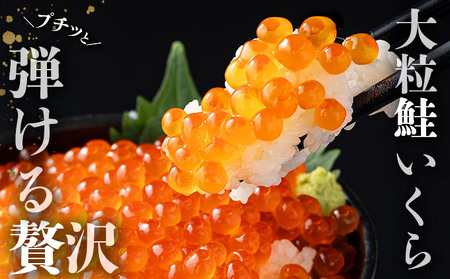 【人気上昇中】受賞歴多数！甲羅組  大粒 鮭いくら 醤油漬け 1kg [024-a255_A(20)]