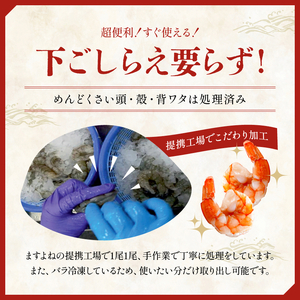 特大 バナメイ むきえび 総重量1kg(解凍後800g)【敦賀市ふるさと納税】（むきえび バラ凍結 海鮮 人気 便利 大型 えび エビ 海老 むき海老 海鮮 家庭用 冷凍 夕食 お弁当 おかず 弁当 料理） [001-a260_(20)]