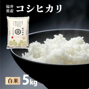 福井県産 コシヒカリ 精米 5kg（5kg×1）＜令和7年産 / 数量限定 ＞【米 コメ お米 精米 白米 無洗米 玄米 ご飯 飯 こしひかり ブランド米 国産】[095-a002_B]