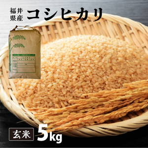 福井県産 コシヒカリ 玄米 5kg（5kg×1）＜令和7年産 / 数量限定 ＞【米 コメ お米 精米 白米 無洗米 玄米 ご飯 飯 こしひかり ブランド米 国産】[095-a011_B]