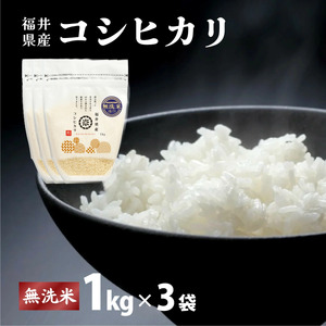 【定期便3回】福井県産 コシヒカリ 無洗米 3kg（1kg×3）＜令和7年産 / 数量限定 ＞【米 コメ お米 精米 白米 無洗米 玄米 ご飯 飯 こしひかり ブランド米 国産】[095-t3-a313]