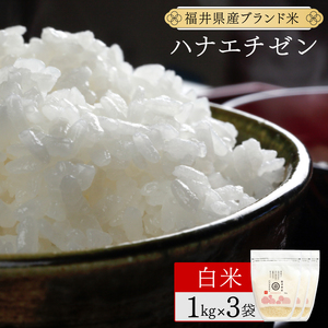 福井県産 ハナエチゼン 精米 3kg（1kg×3）＜令和7年産 数量限定 ＞【米 コメ お米 精米 白米 無洗米 玄米 ご飯 飯 華越前 ブランド米 国産】[095-a310_A]