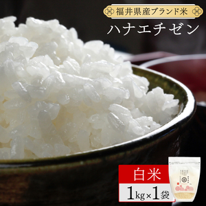 【定期便3回】福井県産 ハナエチゼン 精米  1kg ＜令和7年産 数量限定 ＞【米 コメ お米 精米 白米 無洗米 玄米 ご飯 飯 華越前 ブランド米 国産】[095-t3-a010]