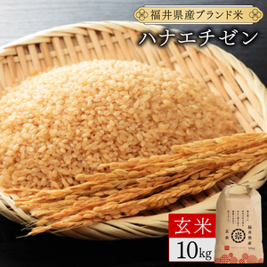 福井県産 ハナエチゼン 玄米 10kg（10kg×1）＜令和7年産 / 数量限定 ＞【米 コメ お米 精米 白米 無洗米 玄米 ご飯 飯 華越前 ブランド米 国産】[095-a008_C]