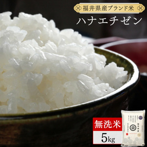 【定期便3回】ハナエチゼン 無洗米 5kg（5kg×1）令和7年産 [095-t3-a017]