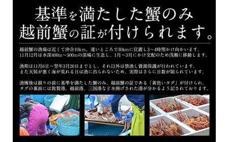 [053-b004]まるごと使用！ズワイ蟹甲羅盛り × 3個 セット【冷凍】【しおそう ずわい蟹 ずわいガニ ズワイガニ 蟹 カニ かに 】