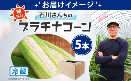 北海道 月形町産 石川さんちの プラチナコーン 5本 白い とうもろこし コーン ホワイト 野菜 夏野菜 旬 生 完熟 甘い ジューシー 採れたて 新鮮 朝採れ お取り寄せ 産地直送 エーコープつきがた 送料無料