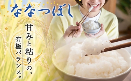 北海道 令和5年産 ななつぼし 5kg×2袋 計10kg 特A 精米 米 白米 ご飯 お米 ごはん 国産 ブランド米 おにぎり ふっくら 常温 お取り寄せ 産地直送 送料無料 