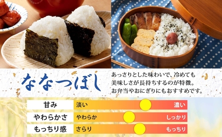 北海道 令和5年産 ななつぼし 5kg×4袋 計20kg 特A 精米 米 白米 ご飯