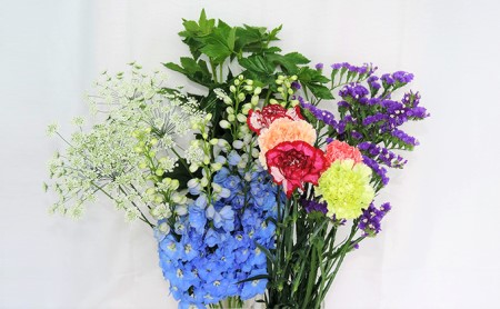 21年7月 8月 9月の3ヶ月連続お届け 生産者直送 旬の花詰め合わせ 5品種本以上保証 北海道月形町 ふるさと納税サイト ふるなび