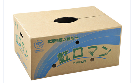 北海道月形町産のかぼちゃ「虹ロマン」約10kg 1箱