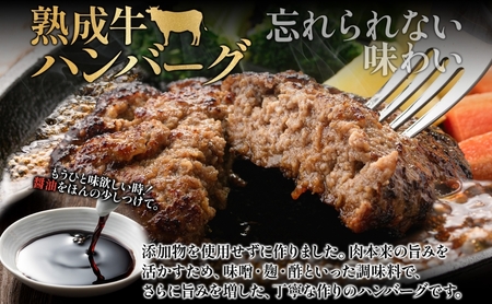 月形熟成牛 ハンバーグ 120g × 2個 ソーセージ プレーン 30g × 4本 1パック 計360g 添加物不使用 セット ブランド 高級 グルメ お取り寄せ 肉汁 焼肉 鉄板焼 ギフト 【 月形町 】