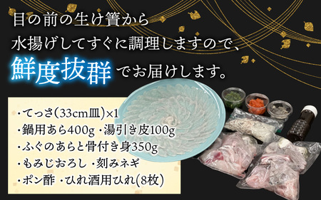 【冷蔵でお届け】 若狭ふぐ てっさ と 鍋 の C セット 5から6人前 小浜市 / ひろた  [BFBQ008] 【配送不可地域：北海道・沖縄・離島】 