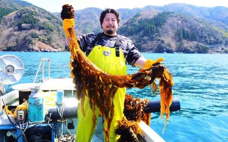 【養殖】 【限定の味】 漁師が育てた もみわかめ 5袋 小浜市 / 釣り船・民宿かどの [BFBG002]