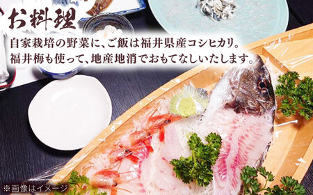 ふぐ料理の宿　まるちゅう広田　若狭ふぐコース タイ舟盛付きプラン　ペア宿泊券  [I-042001] [BFAZ002]