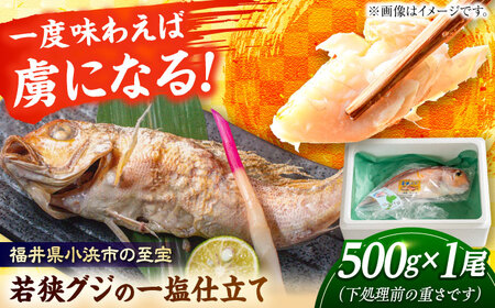 若狭グジの一塩仕立て 500g×1尾 小浜市 / まるほ商店【配送不可地域：北海道・沖縄・離島】  [BFCS001]