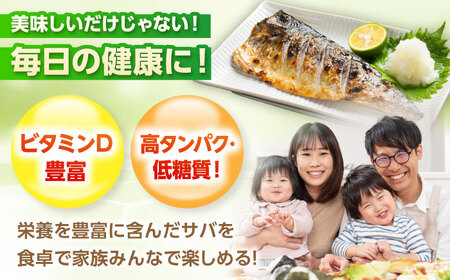 サバ 塩鯖 切身 1kg 小浜市 / まるほ商店  [BFCS013] 