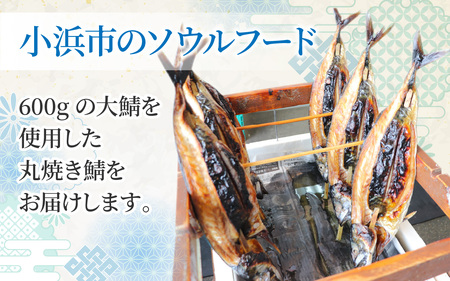 丸焼き鯖 原料600g以上(焼き上がり500g以上)×2本 小浜市 / 真魚源【配送不可地域：北海道・沖縄・離島】 [BFCJ005]  