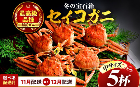 【年内配送】【先行予約/11月7日より順次発送】 【希望月指定可】  セイコガニ（ズワイガニのメス）中サイズ 5ハイ / 越前ガニ コッペガニ せいこ蟹 ボイル 小浜市 / まるほ商店 【配送不可地域：北海道・沖縄・離島】[BFCS015]