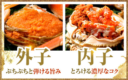 【年内配送】【先行予約/11月7日より順次発送】 【希望月指定可】  セイコガニ（ズワイガニのメス）中サイズ 5ハイ / 越前ガニ コッペガニ せいこ蟹 ボイル 小浜市 / まるほ商店 【配送不可地域：北海道・沖縄・離島】[BFCS015]