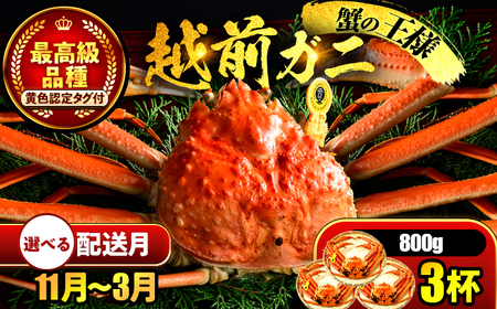 越前がに 800ｇ×3ハイ 【希望月指定可】  / 蟹 ズワイガニ ずわいがに ボイル 冷蔵 小浜市 / まるほ商店 【配送不可地域：北海道・沖縄・離島】[BFCS026]