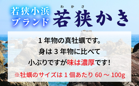 【期間限定】若狭小浜ブランド　若狭かき（加熱用）２Kg 20〜30個入り