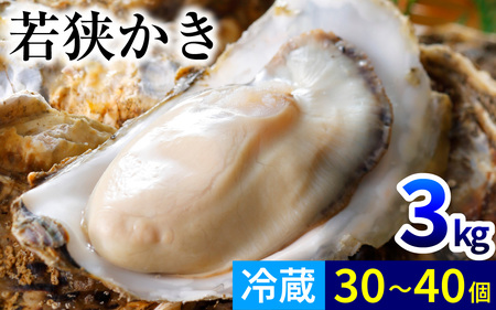 【先行予約/11月下旬より順次発送】【期間限定】若狭小浜ブランド 若狭かき（加熱用）3Kg 30～40個入り [BFAO011] 【配送不可地域：北海道・沖縄・離島】