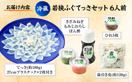 若狭ふぐ てっさセット [冷蔵6人前] [BFAF012]小浜市 【配送不可地域：北海道・沖縄・離島】