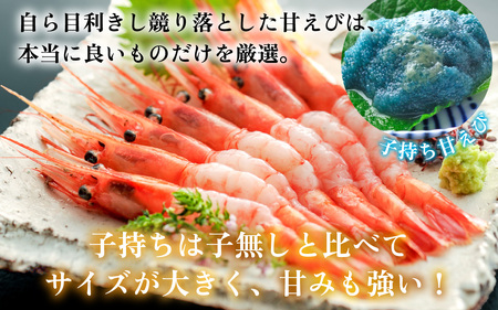 【年内配送】子持ち甘えび  約40尾×1箱（500g） [BFAA048] 【配送不可地域：北海道・沖縄・離島】 