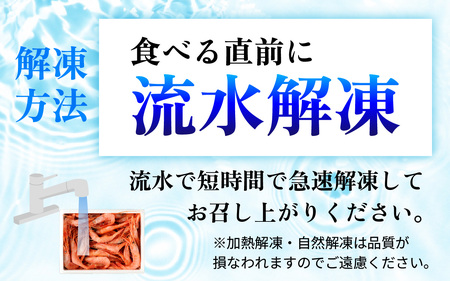 【年内配送】子持ち甘えび  約40尾×1箱（500g） [BFAA048] 【配送不可地域：北海道・沖縄・離島】 
