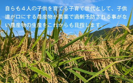 福井県産 ミルキークイーン 白米 10kg / 米 お米 おこめ 精米 ミルキークイーン 10キロ 小浜市 / Grow Farm [BFDI001] 