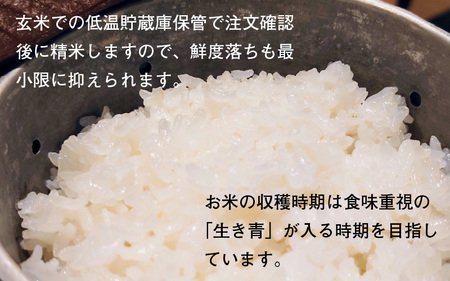 福井県産 ミルキークイーン 白米 10kg / 米 お米 おこめ 精米 ミルキークイーン 10キロ 小浜市 / Grow Farm [BFDI001] 