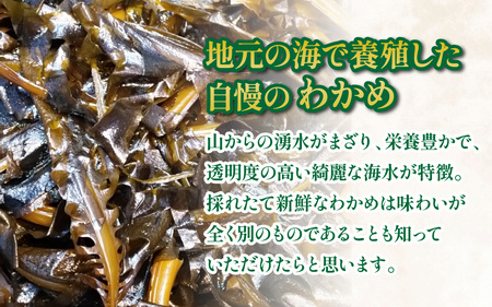【訳あり】【天然・養殖】漁師が育てた 乾燥わかめ 5袋 小浜市 / 釣り船・民宿かどの [BFBG006]