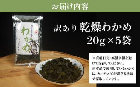 【訳あり】【天然・養殖】漁師が育てた 乾燥わかめ 5袋 小浜市 / 釣り船・民宿かどの [BFBG006]