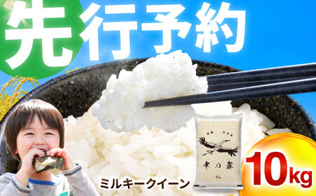 【 先行予約 /11月以降発送】 【令和7年産】 特別栽培米 福井県産 ミルキークイーン 10kg / お米 白米 ブランド米 小浜市 / 今富の宝 [BFCI004]