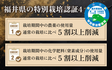 【 先行予約 /11月以降発送】 【令和7年産】 特別栽培米 福井県産 ミルキークイーン 10kg / お米 白米 ブランド米 小浜市 / 今富の宝 [BFCI004]
