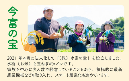 【 先行予約 /11月以降発送】 【令和7年産】 特別栽培米 福井県産 ミルキークイーン 10kg / お米 白米 ブランド米 小浜市 / 今富の宝 [BFCI004]