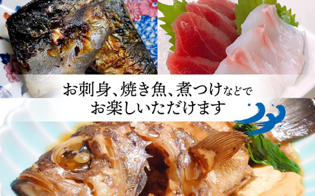 御食の国 若狭小浜より！獲れたて鮮魚BOX｜4から5kg 4から7種【配送不可地域：北海道、北東北（秋田、青森、岩手）、九州、沖縄、離島】 [BFAA060] 