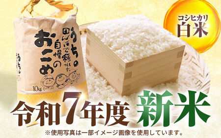 【 先行予約 /10月以降配送】 【令和7年産】福井県産 こしひかり 白米10kg / 小浜市 / Grow Farm [BFDI002] 