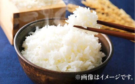 【新米 】 【令和7年産】 ハナエチゼン 白米 10kg / 米 お米 精米 小浜市 / 北川博司[BFDG004]