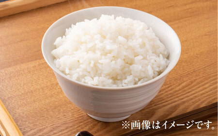 【新米 】 【令和7年産】 ハナエチゼン 白米 10kg / 米 お米 精米 小浜市 / 北川博司[BFDG004]