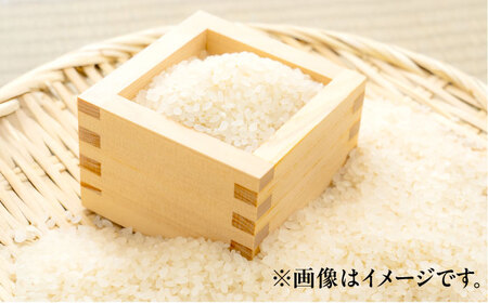 【新米 】 【令和7年産】 ハナエチゼン 白米 10kg / 米 お米 精米 小浜市 / 北川博司[BFDG004]