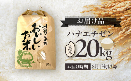 【先行予約 /8月下旬より順次発送 】 【令和7年産】 ハナエチゼン 玄米 10kg×2 （20kg） / 米 お米 健康 小浜市 / 北川博司[BFDG005]
