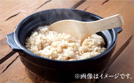 【先行予約 /8月下旬より順次発送 】 【令和7年産】 ハナエチゼン 玄米 10kg×2 （20kg） / 米 お米 健康 小浜市 / 北川博司[BFDG005]