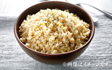【先行予約 /8月下旬より順次発送 】 【令和7年産】 ハナエチゼン 玄米 10kg×2 （20kg） / 米 お米 健康 小浜市 / 北川博司[BFDG005]