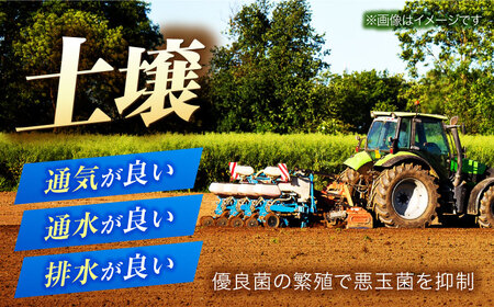 【 新米】【令和7年産】 福井県産 ラクト農法 コシヒカリ 玄米 10kg×2 （20kg） / 小浜市 / 北川博司 [BFDG007]